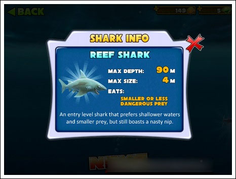 鲨鱼种类推荐攻略1