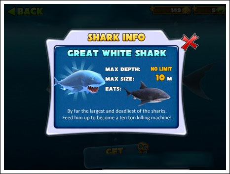 鲨鱼种类推荐攻略5