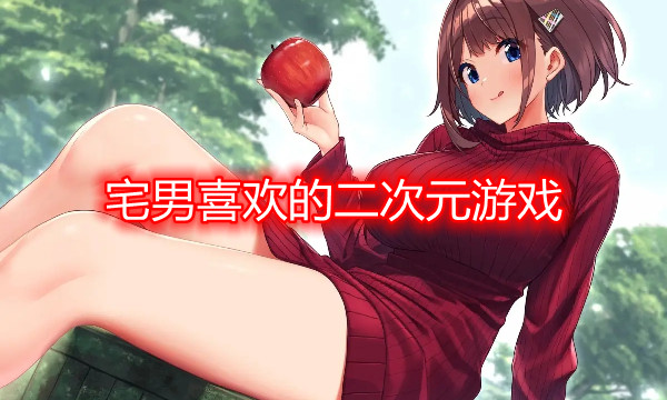 宅男喜欢的二次元游戏