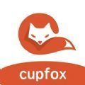 cupfox茶杯狐