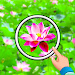 找出它隐藏的花朵Find it out - hidden flowers图标